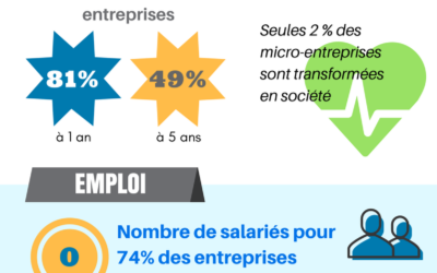 Panorama de l’entrepreneuriat en France